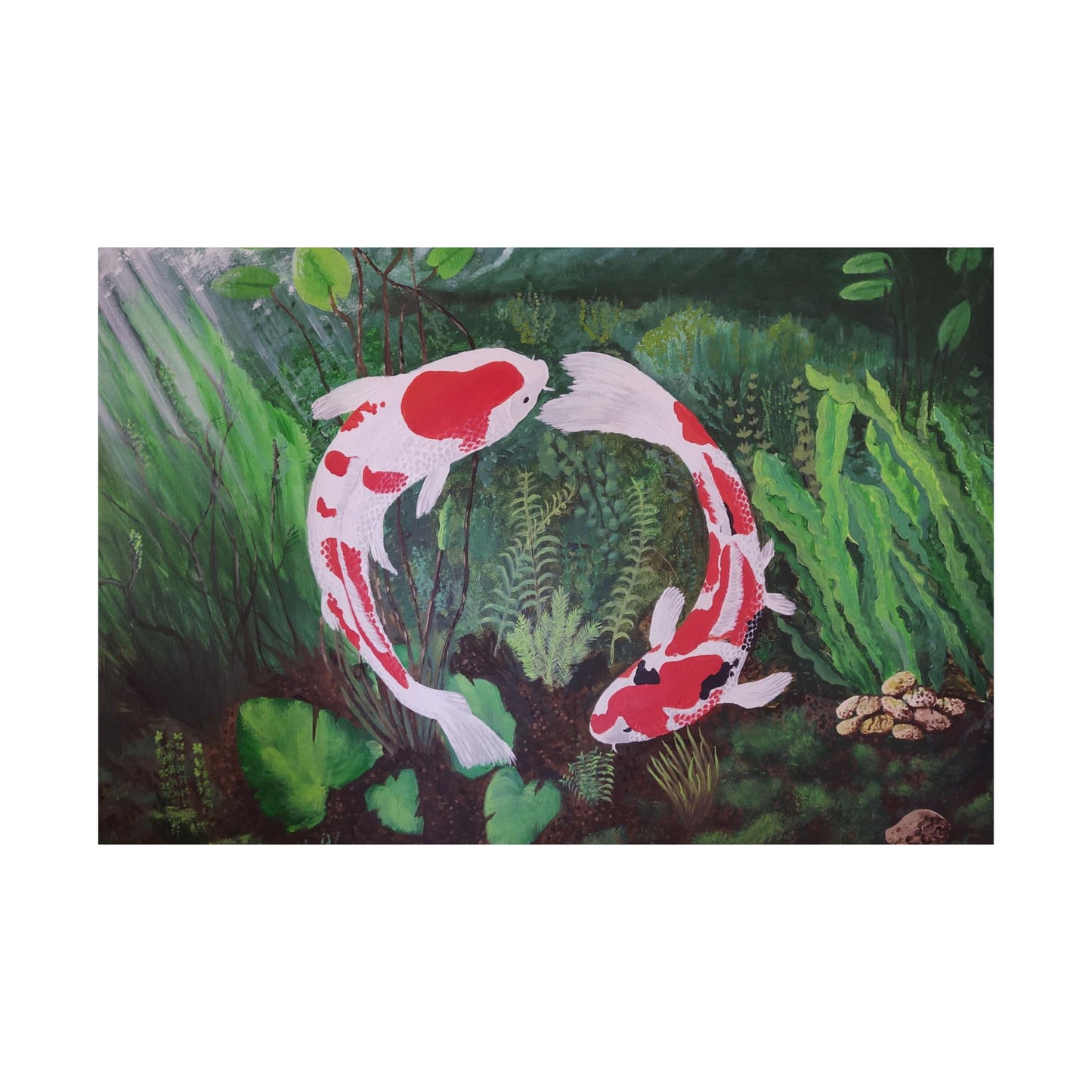 Koi Ying and Yang Poster Print