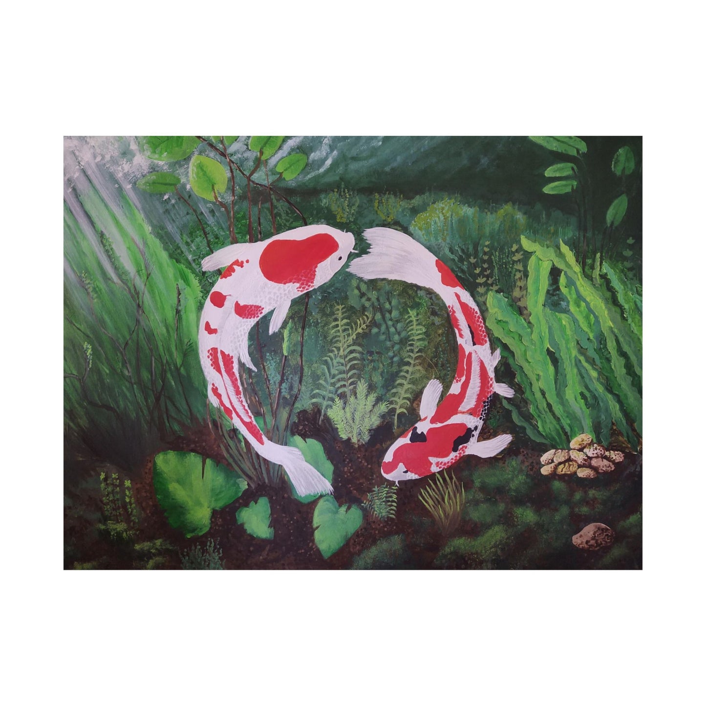 Koi Ying and Yang Poster Print