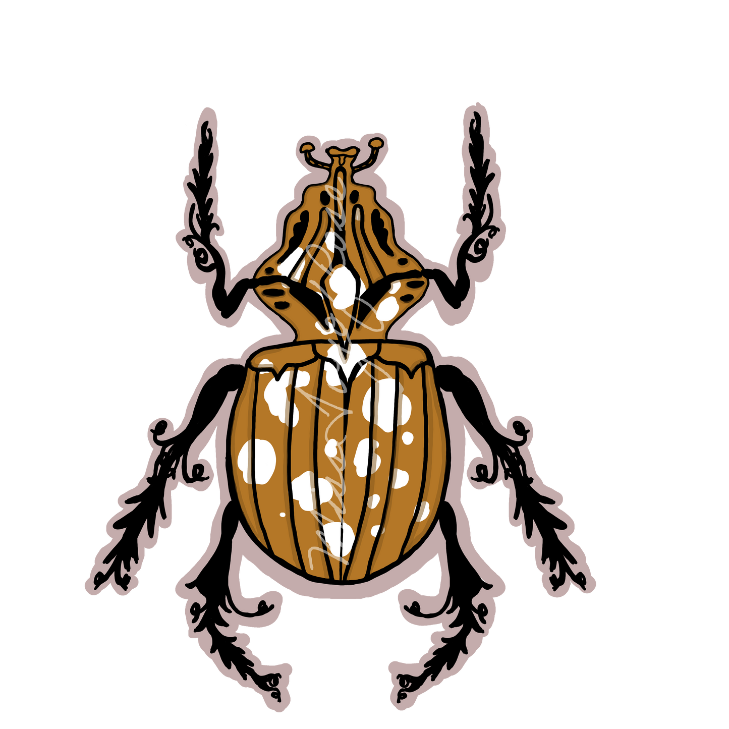 Brown Cow Beetle