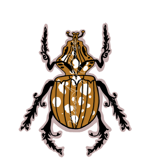 Brown Cow Beetle